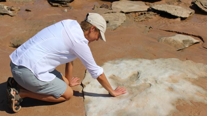 WA Museum curator Jessica Brainard with her palm on the footprint of a therapod
